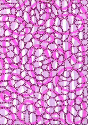 Vibrant Pink Shapes