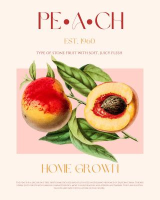 Vintage Style Peach Illustration
