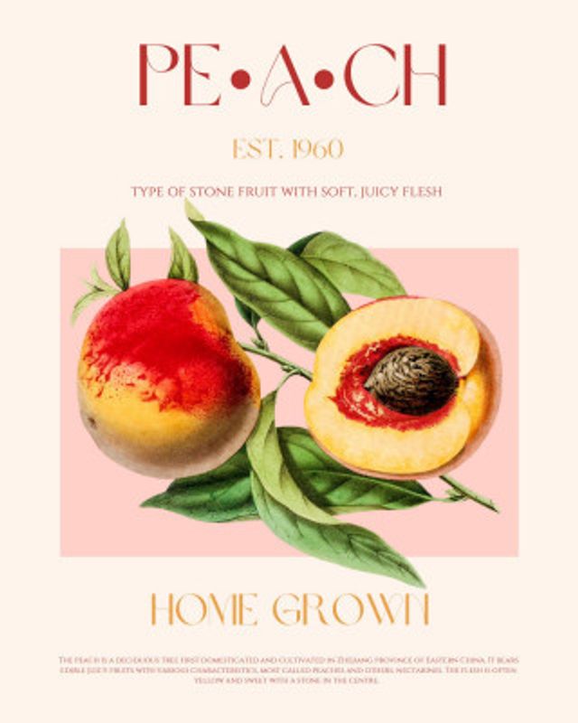Vintage Style Peach Illustration