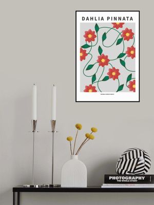 Dahlia  - National flower of Mexico