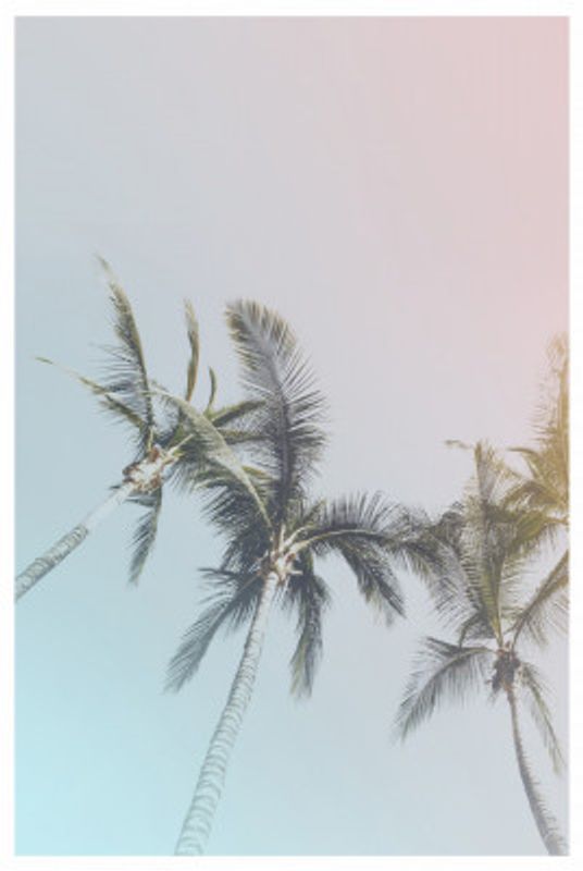 Pastel Palms Bliss