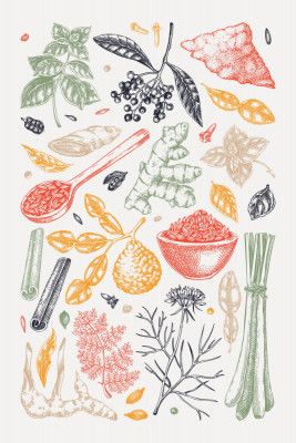 Kitchen Spices and Herbs