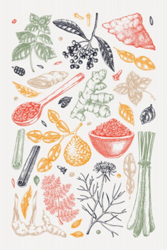 Kitchen Spices and Herbs