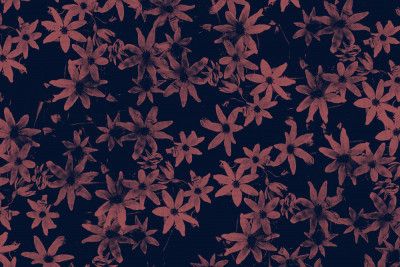 Flowers At Dawn Nº1