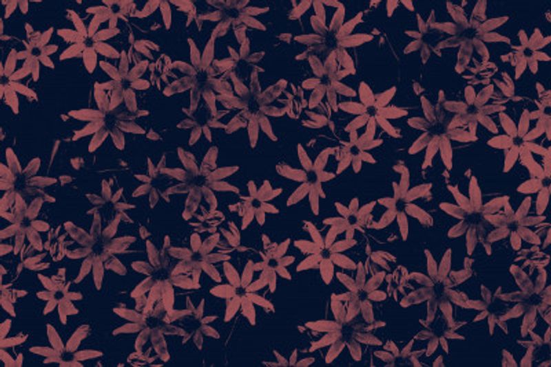 Flowers At Dawn Nº1