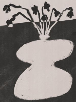 Organic Pot Plant On the Table