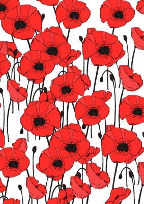 Vibrant Pattern Of Red Poppies