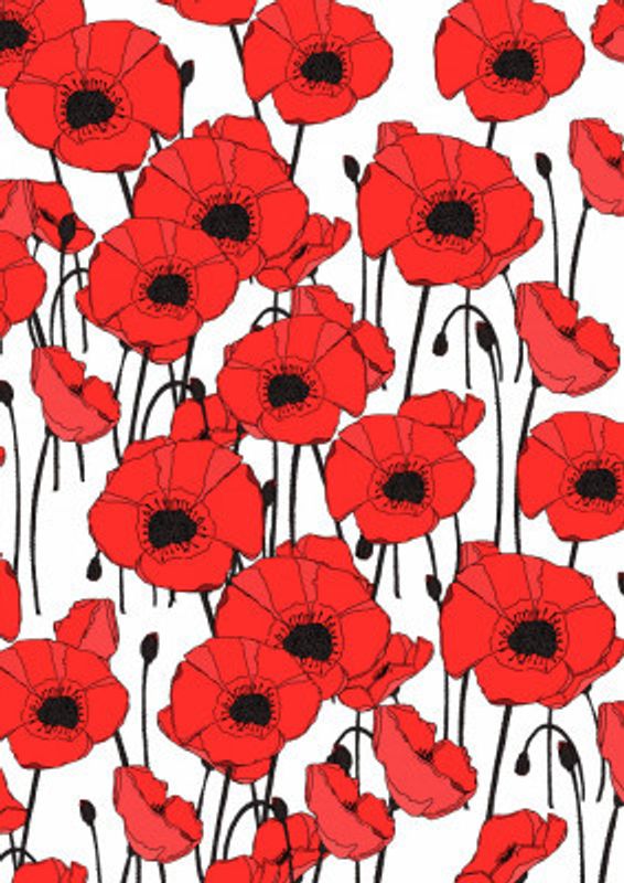 Vibrant Pattern Of Red Poppies