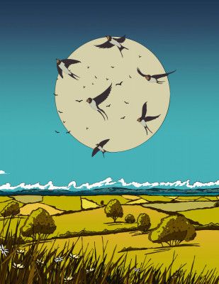 Rural Countryside Landscape