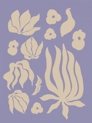 Nature's Silhouettes