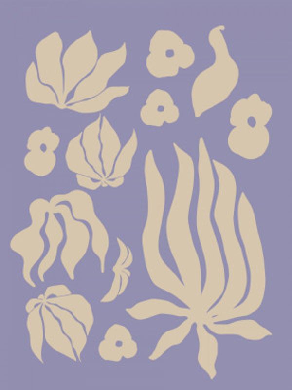 Nature's Silhouettes