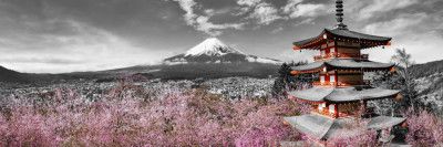 Idyllic panoramic view of Mount Fuji with Pagoda and Cherry Trees - colorkey