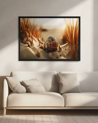 Dunes' Silent Shells