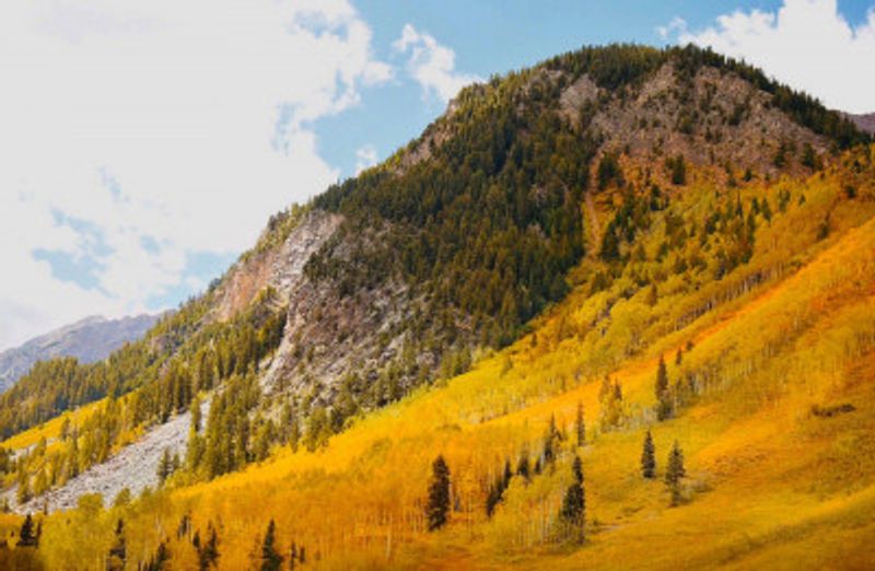 Conundrum Creek Trail