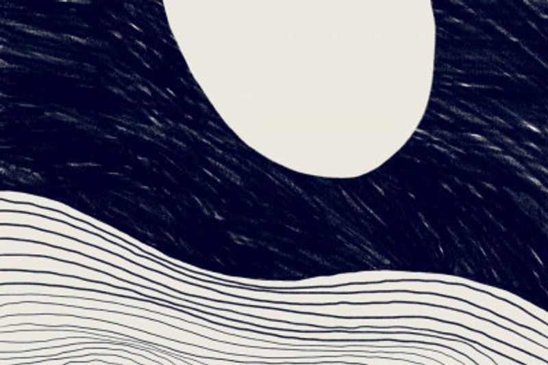 15 the Traveling Moon 20x30