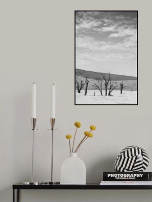 Black And White Desert Landscape