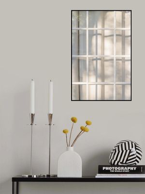 Lights and Shadows 4