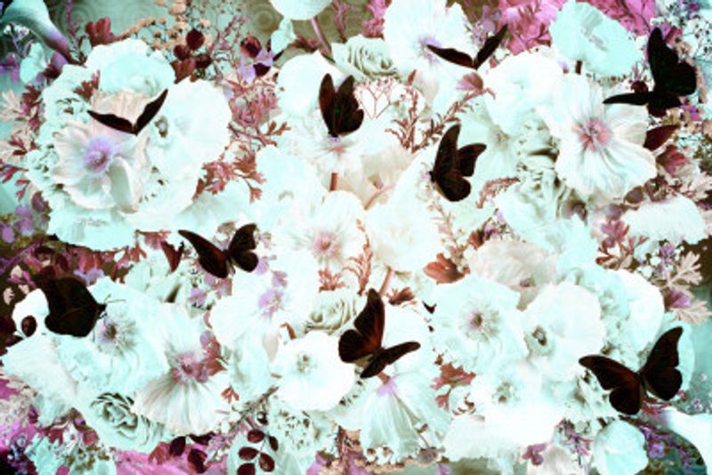 Summer Breeze Victorian