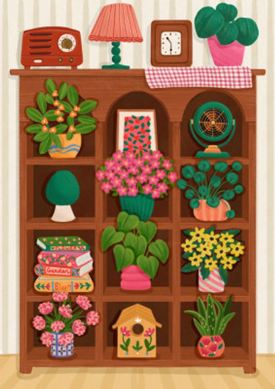 Spring Shelf