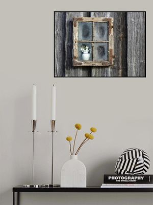 Spring flowers in the window