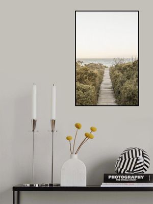 Pathway to Tranquility