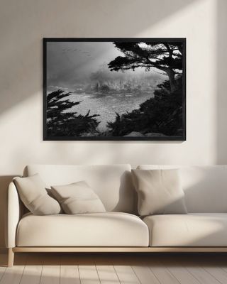 Foggy Morning Central Coast