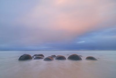 Moeraki Boulders