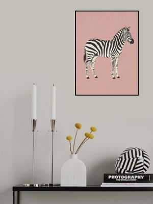 Zebra and Pink