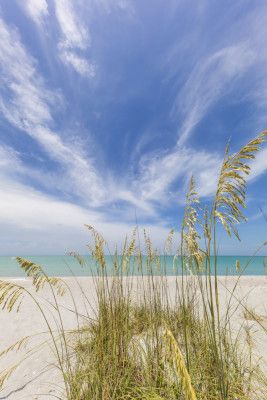Charming beach scenery