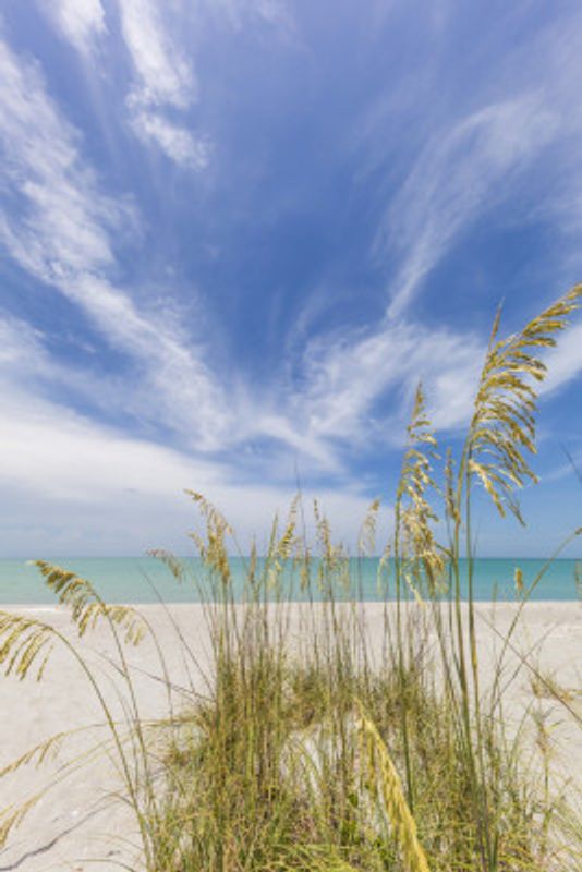 Charming beach scenery