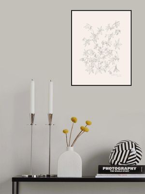 Flowers pencil studies N.1