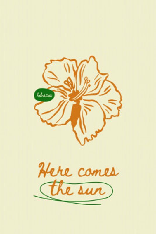 Summercollectionno49