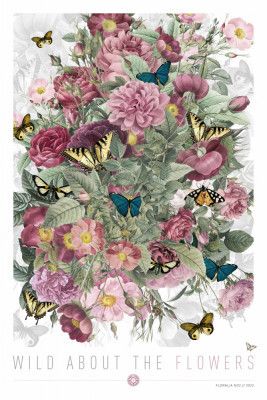 Wild About the Flowers 2