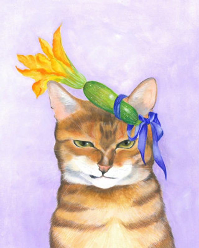 Jasper Cat and Courgette Hat