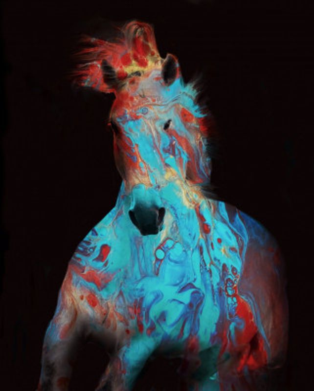 Running Bashful Horse