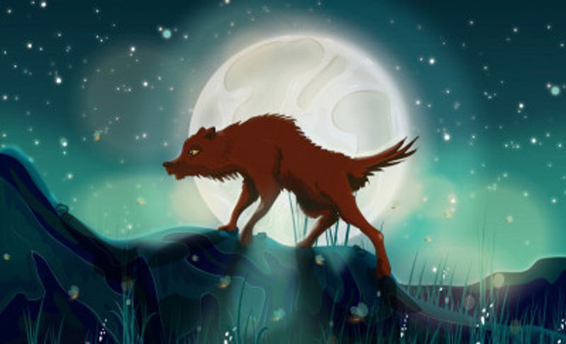 Wolf Full Moon