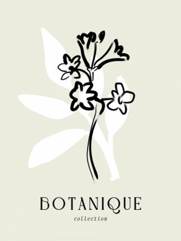 Minimalist Blossoms