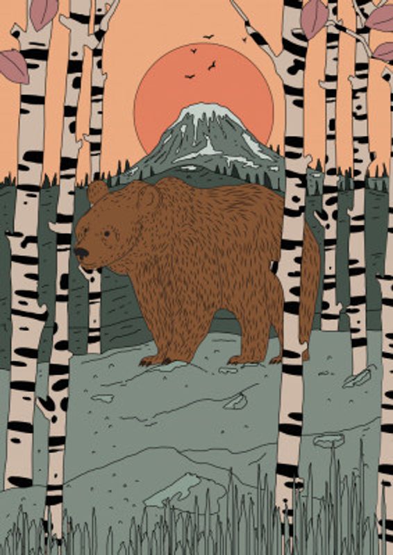 Bear's Tranquil Stroll