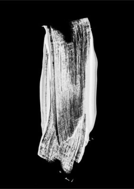 Monochrome Brushstroke