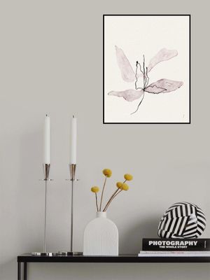 Delicate Petal Dance