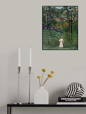 Femme Se Promenant Dans Une Foret Exotique