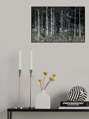 Birch Trees 21