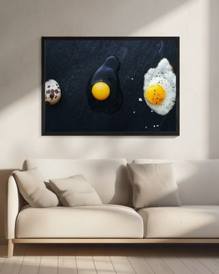 Egg Evolution Journey