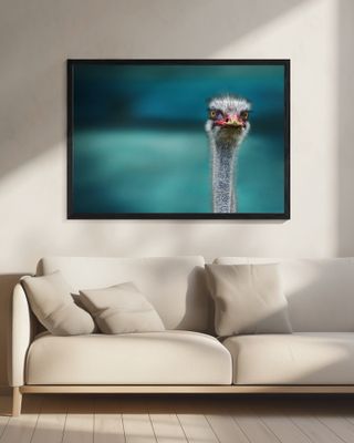 Ostrich Protecting two Poor Chicken from the Wind