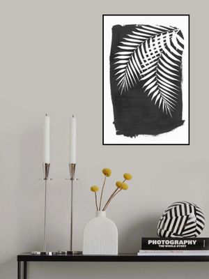 Black Palm Leaves Foliage Silhouette