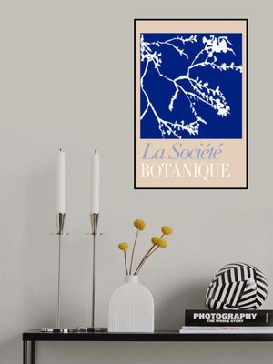 La Société Botanique White Flower 2