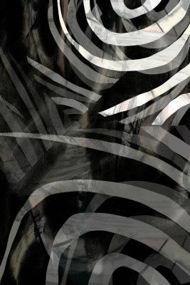 Cartissi Millionaire's Wrap 3