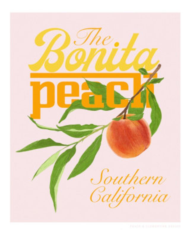 Pandcbonitapeach Copy