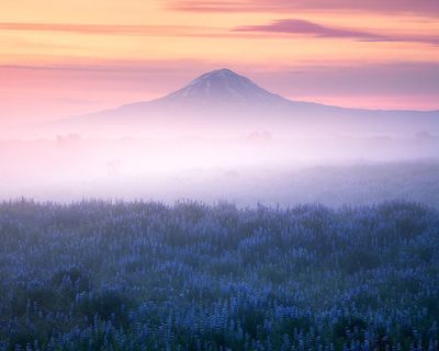 Iceland - Morning Calmness