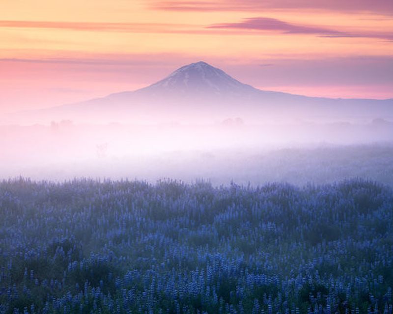 Iceland - Morning Calmness